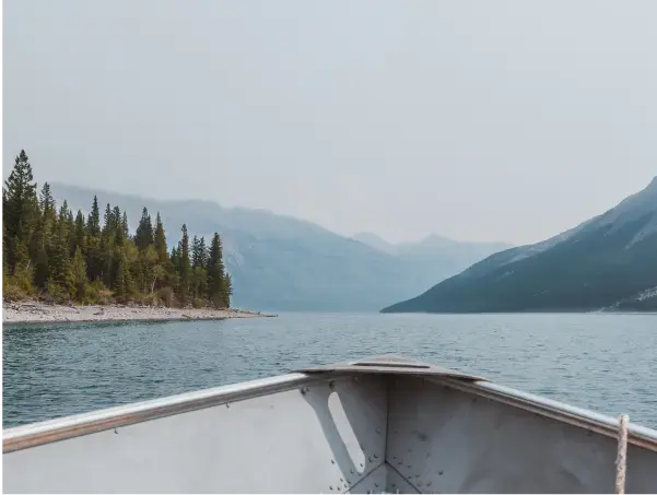 A calm river landscape used as gut-focused imagery